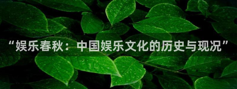 星空娱乐app下载安装