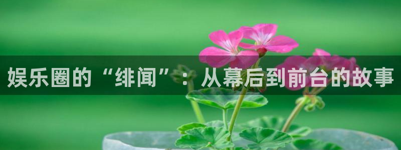 星空娱乐官网
