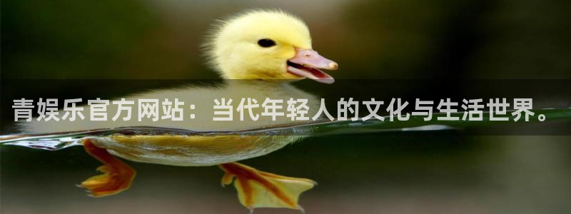 下载星空娱乐