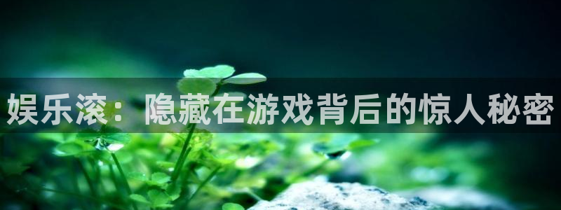 星空娱乐app