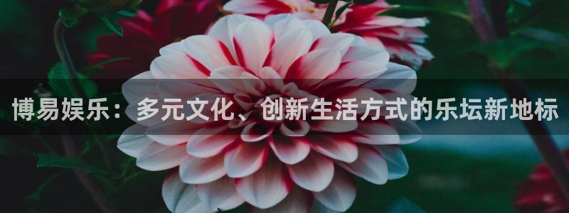 星空娱乐传媒有限公司