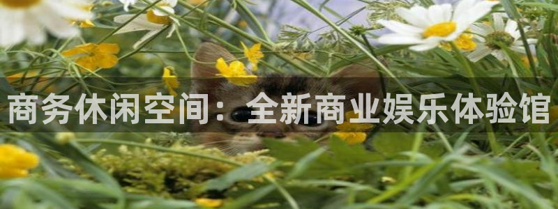 星空娱乐网站官网