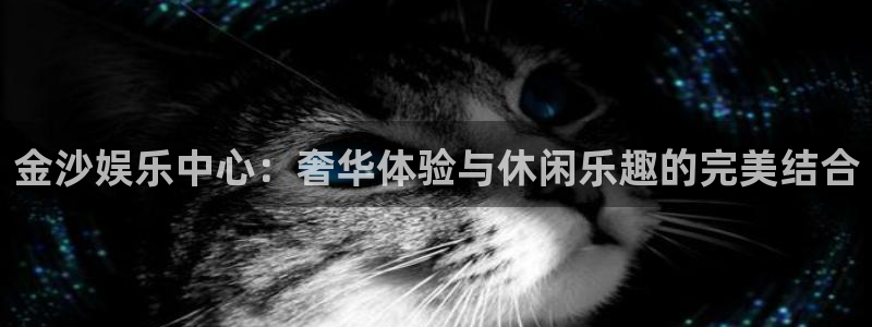 星空娱乐app安装