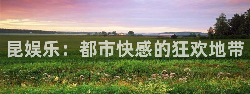 星空娱乐网址